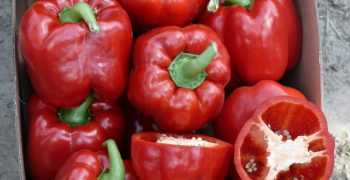 TEST Peppers more popular in Poland
