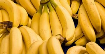 Record in Peru’s banana exports