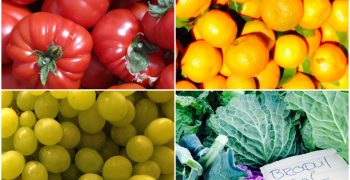 Value of UK fruit imports up 6.7%, vegetable 3.9%