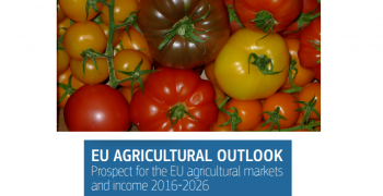 EU tomato consumption stagnant but value has soared