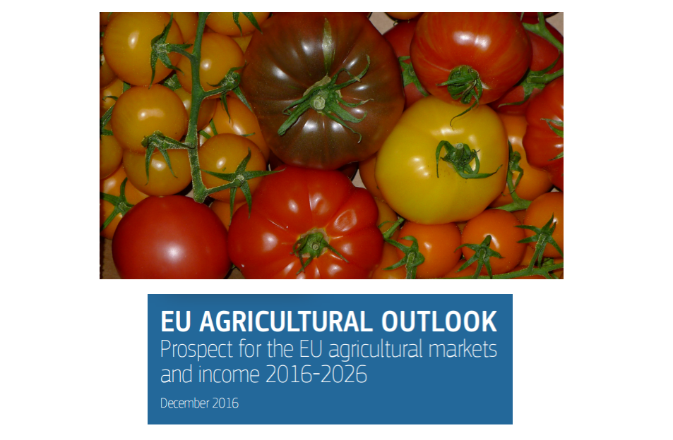 EU consumption of fresh tomatoes is set to remain stable or fall slightly. But the market for fresh tomatoes is characterised by strong segmentation into many different types and retail sales are increasing in value.