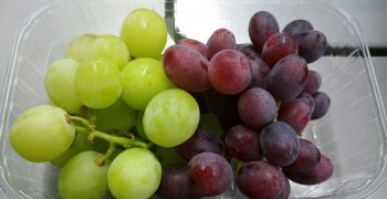 Grapes benefit brain health