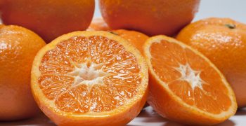 Clemcott generates interest in the international citrus fruit sector at Fruit Logistica 2017