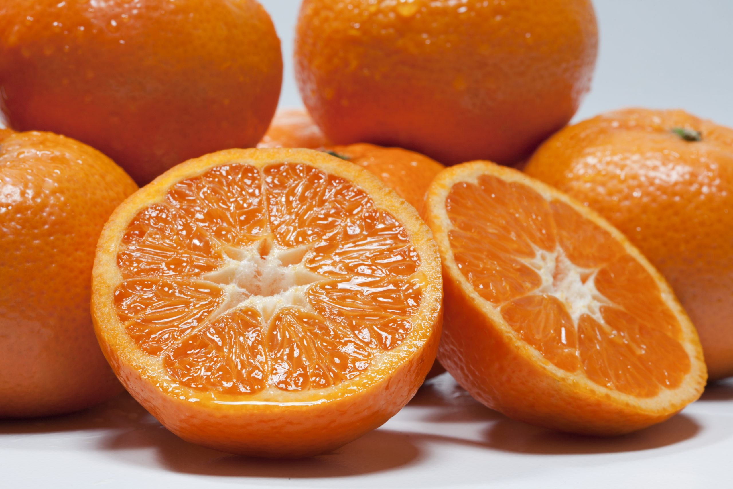 Clemcott is distinguished for being a unique mandarin.Its exceptional features; homogeneity in the fruit, intense colour, easy to peel, exquisite aroma and taste, among others, make this excellent fruit unique, one that experts and consumers know how to appreciate and value.