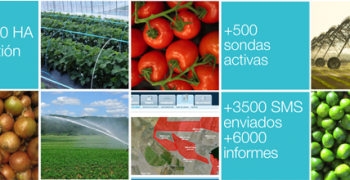 Hidrosoph continues expanding its portfolio in the European fruit and vegetable’s sector