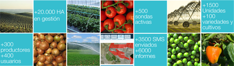 Hidrosoph’s management is supported by more than 20 years of experience in the watering sector, applying its technology to more than a hundred different crops, including fruit and vegetables, both open field and greenhouses, vineyards, olive groves, gardens and even in golf courses.