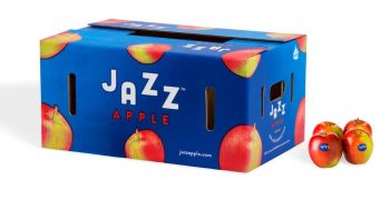 JAZZ, A NEW BRAND IMAGE