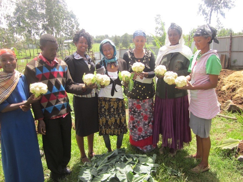 Hazera decided to support agricultural development in Africa, providing high quality seeds and expertise to support people improving their living conditions.