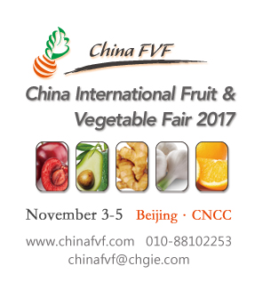 Philippines as the Partner Country in China FVF 2017