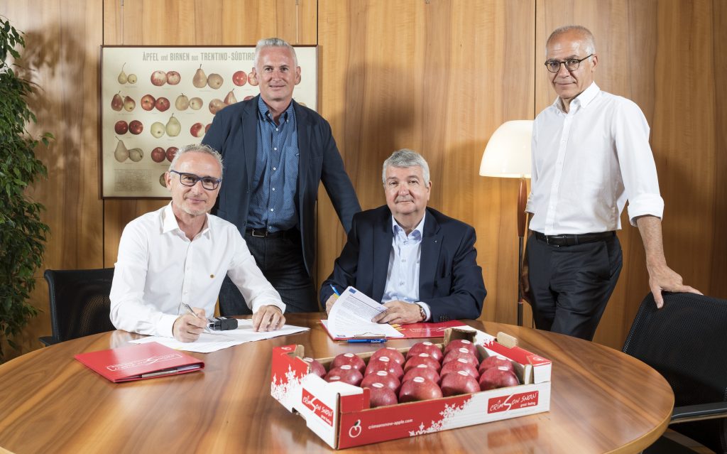A new Club apple is to be added to the assortment offered by the Italian apple Consortium, VOG, which from 2020 will be planting trees to produce Crimson Snow®, which has crimson skin and white flesh. 