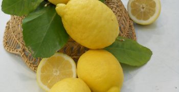  La Costiera promotes Sorrento lemons