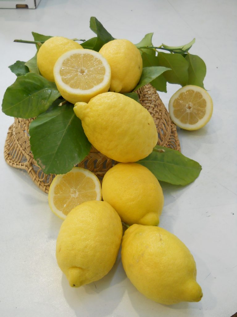 CIT italy LIMONI LA COSTIERA_0