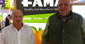 Fama to offer red Israeli mandarins