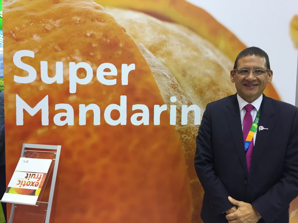 The new campaign closes with an 11% rise in Peruvian citrus fruit production - late mandarins featuring most prominently. 