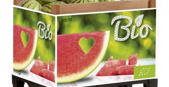 New green box for bio watermelon