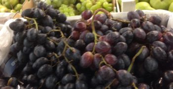 Positive marks of grapes market in Russia