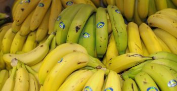 Del Monte’s profits hit by low banana prices