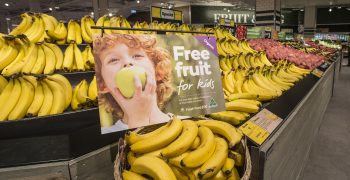 Peru’s banana exports volume remain unchanged