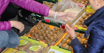 Fall in kiwi prices in China’s Sichuan Region