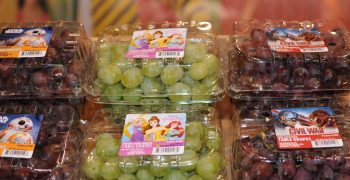 Italian table grapes maintain market share in Germany