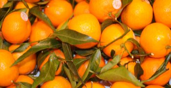 Global organic citrus fruit more than doubles in ten years