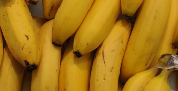 Bananas – second fastest expanding organic crop