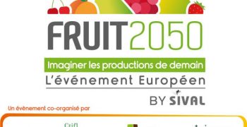 FRUIT 2050 – a new event for fruit production at SIVAL