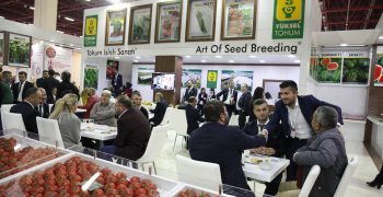 Seed growing industry scales up its production target for 2023 from 1 million tons to 1.5 million tons