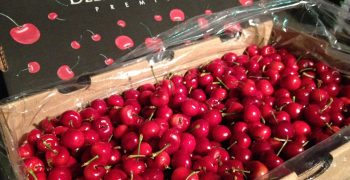 US imports of fresh cherries relatively unchanged