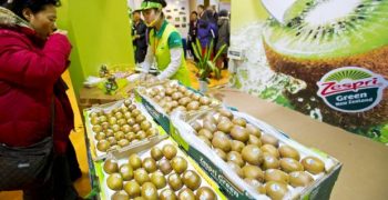 Zespri recognised for best growth strategy
