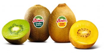 Lessons learnt from last year’s challenges for Zespri Gold producers