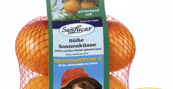 SanLucar and Paddington bear come together at the pos