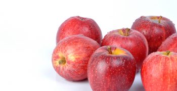 A late harvest and small size for French apples