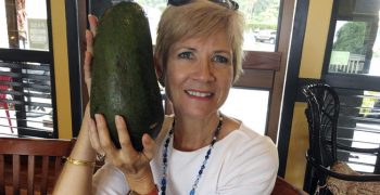 Record-sized avocado: Four pounds seven two!