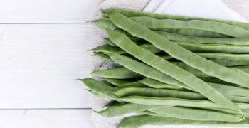 Dark-green Faiza RZ bean surprises German consumers