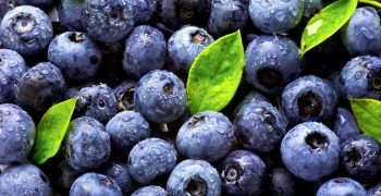 Chilean blueberries sell in food dispensing machines in China