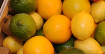 Spanish citrus production falls 12.3%