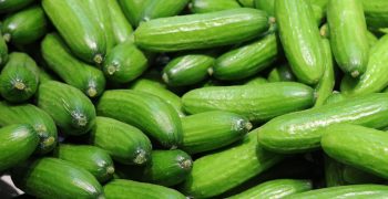Cucumber prices rise with drop in temperatures