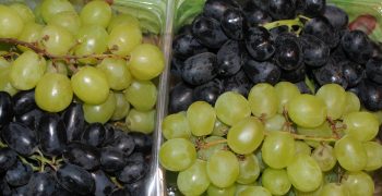 Grapes replace apple as Britain’s best-selling fruit