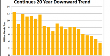 Global orange production falls by 4 million tons