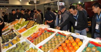 Fruit imports to China surge by 8.8%