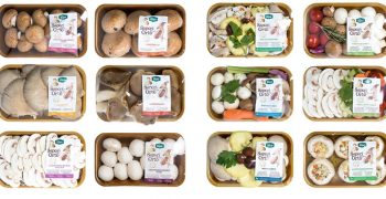 Positive sales for fresh mushrooms branded Sapori del mio Orto