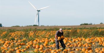 Weather conditions provide welcome boost for French farmers