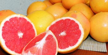 Mexico’s grapefruit exports boosted by European demand