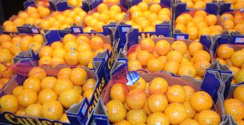 American oranges arrive in Hubei, China