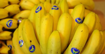 No end in sight for shortfall in supply of bananas to Europe