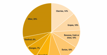 China’s fruit imports rise 12% in volume