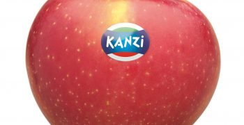 Kanzi apples fetch producers good prices this year