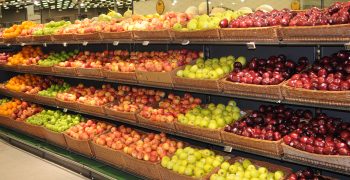 France’s winter fruit markets remain stable