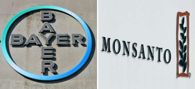 bayer monsanto